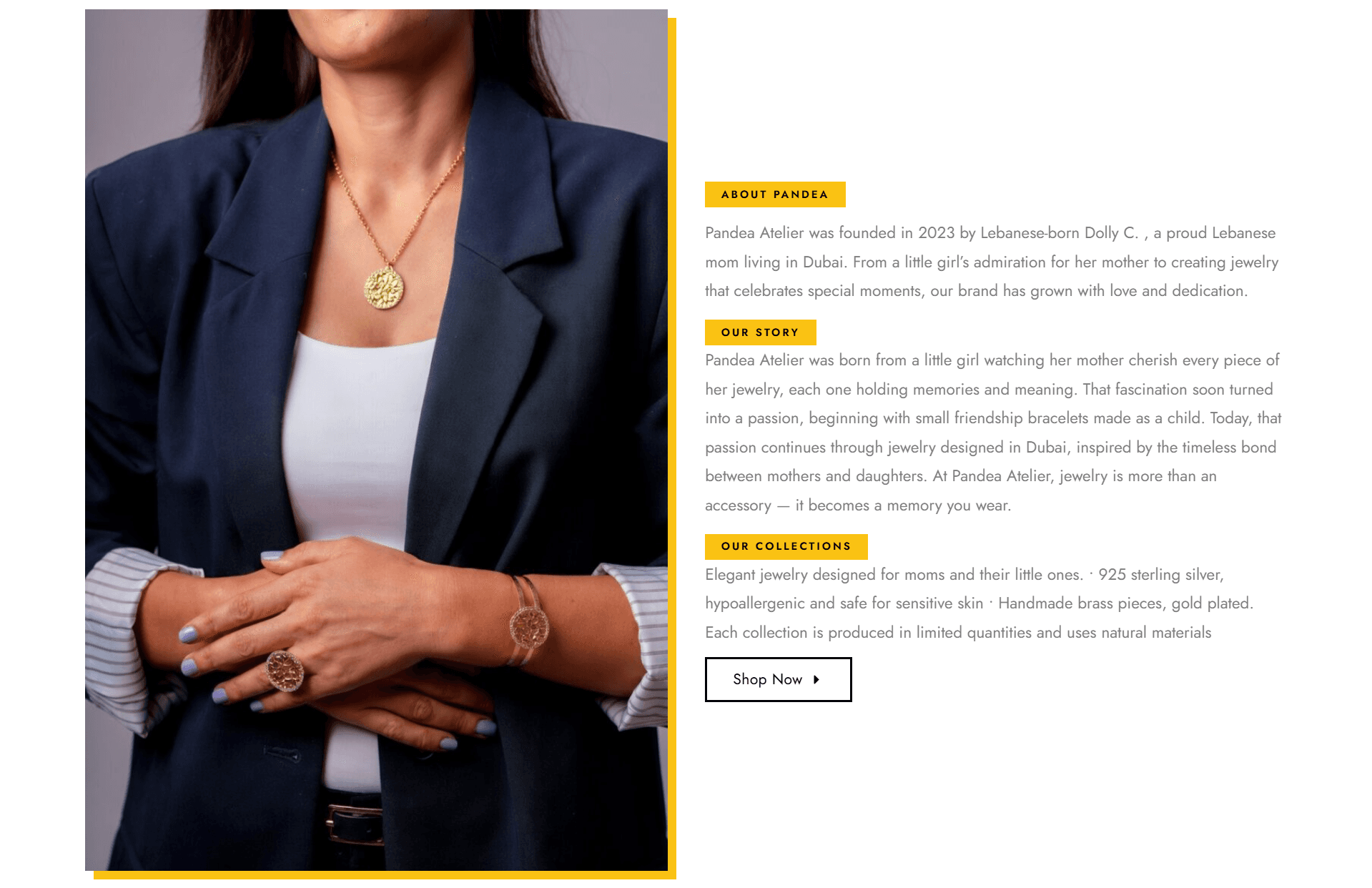Pandea Atelier E-Commerce thumbnail 6